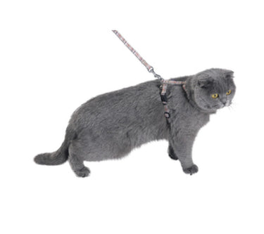 Kilt Cat Harness & Lead - Beige / XS